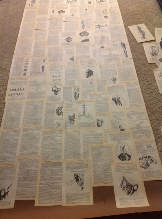Floor to Ceiling Strip of Paper with pages from Gray's Anatomy